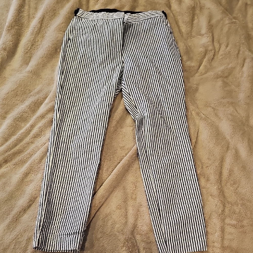 Zara Navy and White Striped Trousers